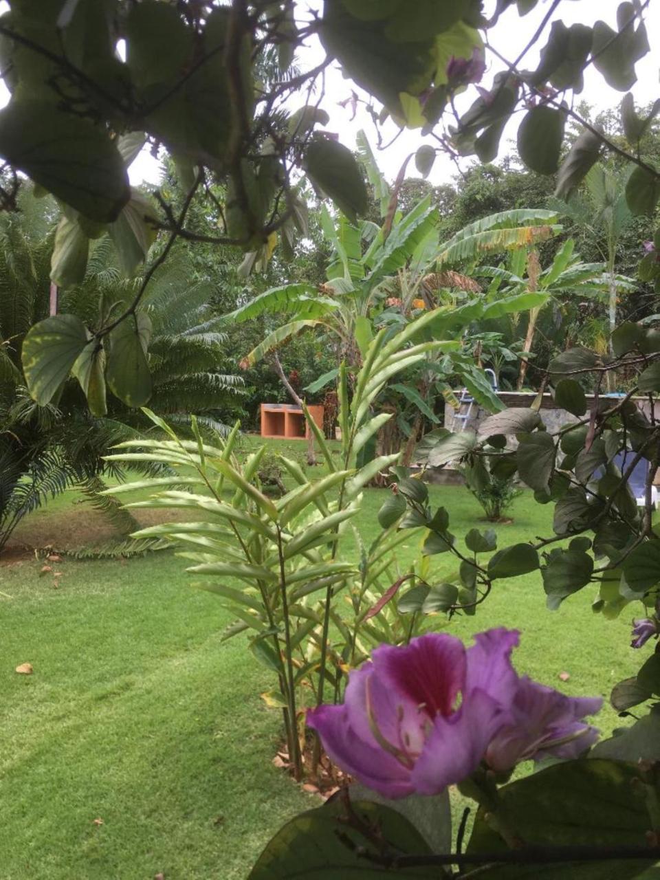 Labellaventura Villa Las Galeras Buitenkant foto